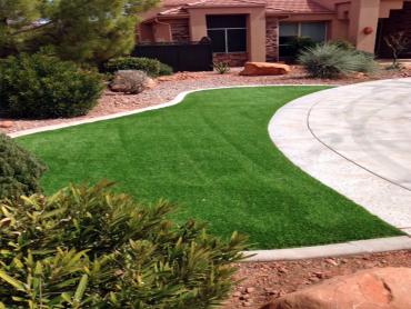 Artificial Grass Photos: Fake Grass Carpet Trexlertown, Pennsylvania Landscape Ideas, Small Front Yard Landscaping