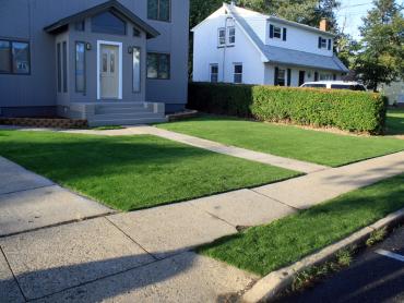 Artificial Grass Photos: Fake Grass Carpet Virginville, Pennsylvania Landscape Photos, Small Front Yard Landscaping