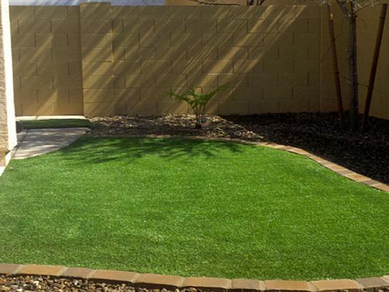 Artificial Grass Photos: Fake Grass Carpet West Fairview, Pennsylvania Landscape Photos, Backyard Makeover