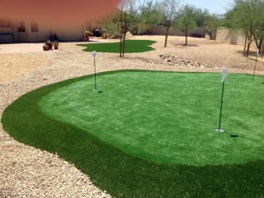 Artificial Grass Photos: Fake Grass Carpet Windsor, Pennsylvania Putting Green Flags, Backyard Garden Ideas