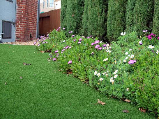 Artificial Grass Photos: Fake Grass Carpet Wyoming, Pennsylvania Design Ideas, Front Yard