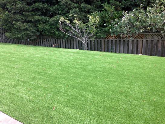 Artificial Grass Photos: Fake Grass Dallastown, Pennsylvania Rooftop, Backyard Garden Ideas