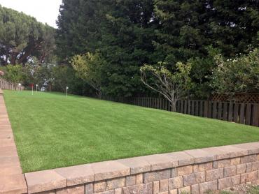 Artificial Grass Photos: Fake Grass Minersville, Pennsylvania Putting Greens, Backyard Landscaping Ideas