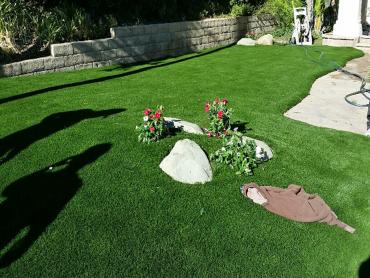 Artificial Grass Photos: Fake Grass Renningers, Pennsylvania Landscape Design, Front Yard