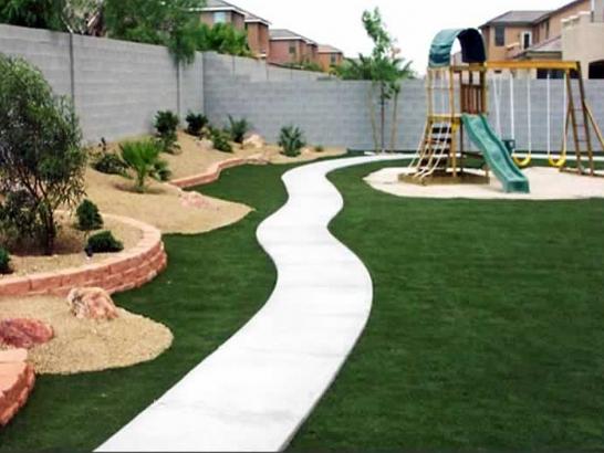 Artificial Grass Photos: Fake Grass Steelton, Pennsylvania Design Ideas, Backyard Designs