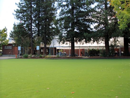 Artificial Grass Photos: Fake Grass Sunrise Lake, Pennsylvania Athletic Playground, Recreational Areas