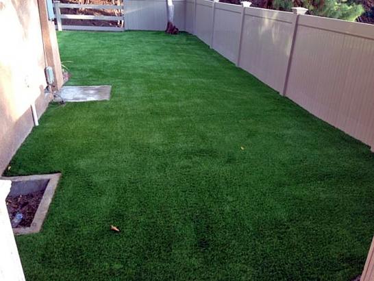 Artificial Grass Photos: Fake Grass Wilkes-Barre, Pennsylvania Indoor Dog Park, Small Backyard Ideas