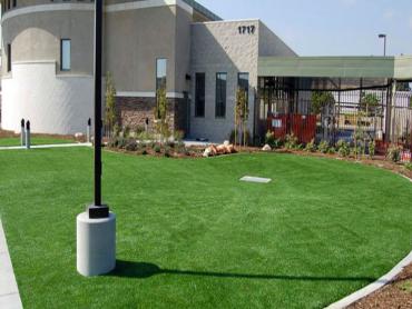 Artificial Grass Photos: Fake Lawn Avon, Pennsylvania Lawn And Garden, Commercial Landscape