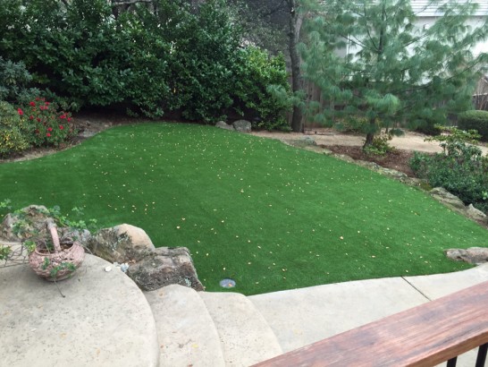 Artificial Grass Photos: Fake Lawn Boothwyn, Pennsylvania Landscape Rock, Backyards