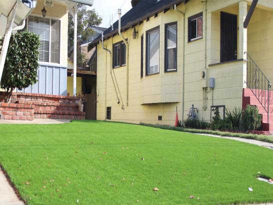 Artificial Grass Photos: Fake Lawn Catawissa, Pennsylvania Home And Garden, Front Yard Design