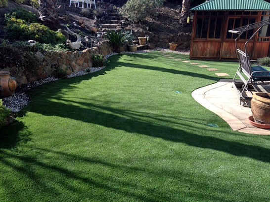 Artificial Grass Photos: Fake Lawn Conshohocken, Pennsylvania Lawn And Landscape, Backyard Designs