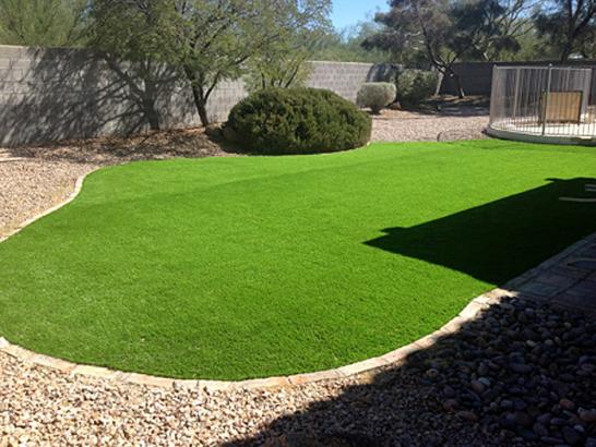 Artificial Grass Photos: Fake Lawn East Side, Pennsylvania Paver Patio, Backyards