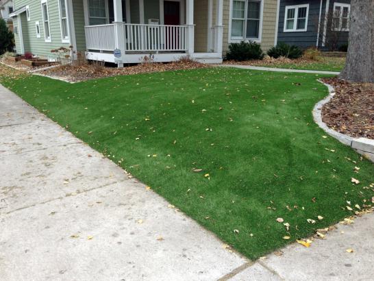 Artificial Grass Photos: Fake Lawn Hazleton, Pennsylvania Backyard Deck Ideas, Front Yard