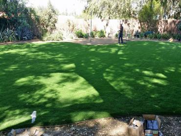 Artificial Grass Photos: Fake Lawn Lansford, Pennsylvania Design Ideas, Backyards