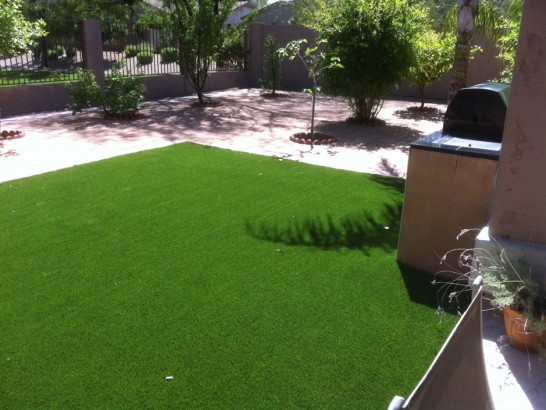 Artificial Grass Photos: Fake Lawn Montgomeryville, Pennsylvania Gardeners, Backyard Makeover