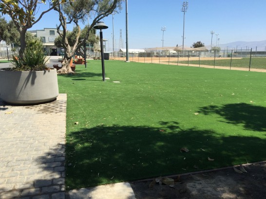 Artificial Grass Photos: Fake Lawn New Hope, Pennsylvania Design Ideas, Recreational Areas