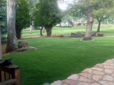 Artificial Grass Photos: Fake Lawn New Jerusalem, Pennsylvania Landscaping, Front Yard Design