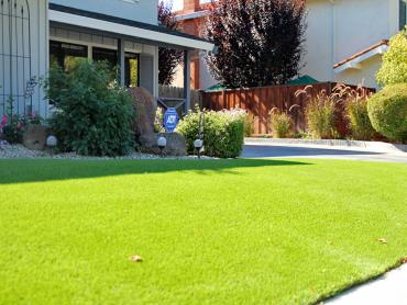 Artificial Grass Photos: Fake Lawn Towamensing Trails, Pennsylvania Design Ideas, Small Front Yard Landscaping