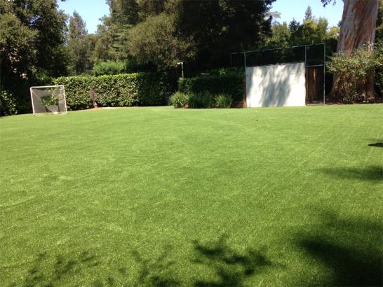 Artificial Grass Photos: Fake Lawn Tresckow, Pennsylvania High School Sports, Backyard Ideas