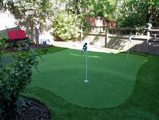Artificial Grass Photos: Fake Lawn Wyndmoor, Pennsylvania Putting Green, Beautiful Backyards