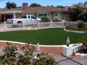 Artificial Grass Photos: Fake Turf Avondale, Pennsylvania Landscape Design, Front Yard