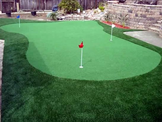 Artificial Grass Photos: Fake Turf Bloomsburg, Pennsylvania Home Putting Green, Backyard Makeover