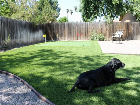 Artificial Grass Photos: Fake Turf Chester Heights, Pennsylvania City Landscape, Grass for Dogs