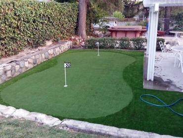 Artificial Grass Photos: Fake Turf Elizabethtown, Pennsylvania Backyard Playground, Backyard Design