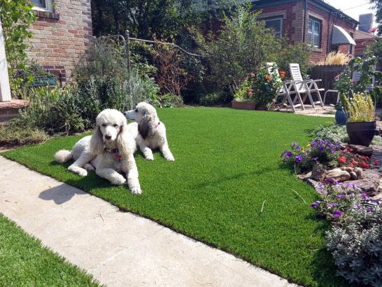 Artificial Grass Photos: Fake Turf Englewood, Pennsylvania Watch Dogs, Front Yard Landscaping Ideas