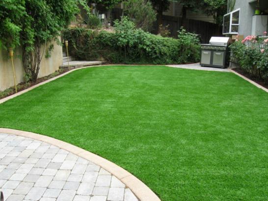 Artificial Grass Photos: Fake Turf Gouldsboro, Pennsylvania Paver Patio