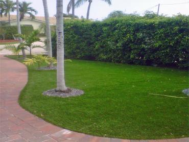 Artificial Grass Photos: Fake Turf Grill, Pennsylvania Lawn And Garden, Front Yard Landscaping Ideas