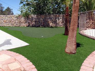 Artificial Grass Photos: Fake Turf Lehighton, Pennsylvania Putting Green Carpet, Backyard Designs