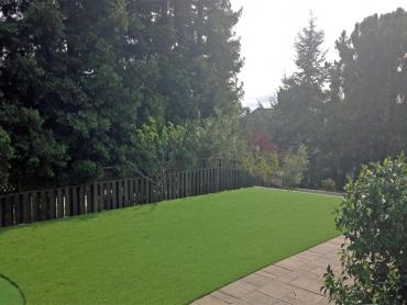 Artificial Grass Photos: Fake Turf Sun Valley, Pennsylvania Landscaping, Backyard Landscape Ideas