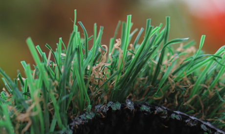 Artificial Turf For Dogs