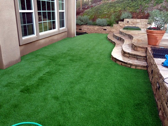 Artificial Grass Photos: Faux Grass Bryn Athyn, Pennsylvania Landscaping Business, Backyard Designs