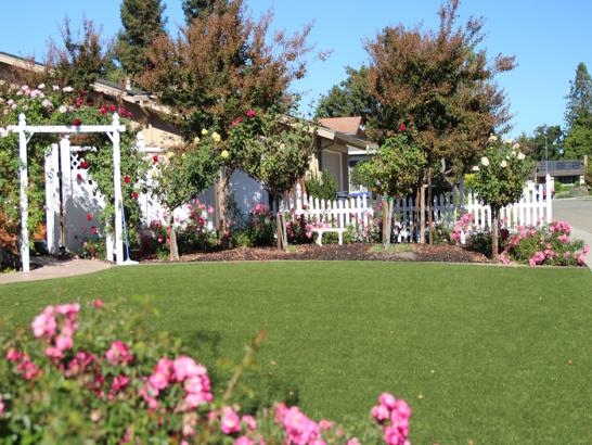 Artificial Grass Photos: Faux Grass Fort Indiantown Gap, Pennsylvania Home And Garden, Front Yard Ideas