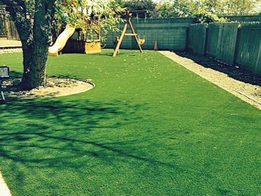 Artificial Grass Photos: Faux Grass Martins Creek, Pennsylvania Backyard Deck Ideas, Backyard Designs