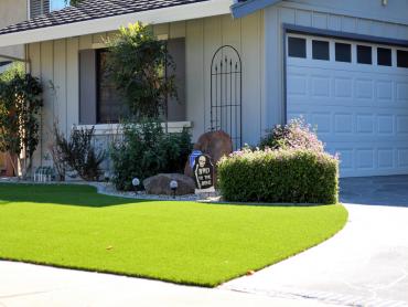 Artificial Grass Photos: Faux Grass Mount Carbon, Pennsylvania Garden Ideas, Front Yard Landscape Ideas