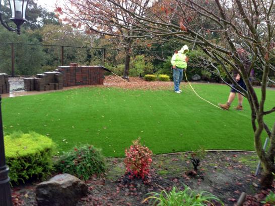 Artificial Grass Photos: Faux Grass Mount Pocono, Pennsylvania Landscape Photos, Backyard