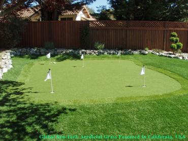 Faux Grass Penn Wynne, Pennsylvania Landscape Ideas, Backyard Landscaping Ideas artificial grass