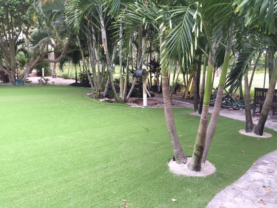 Artificial Grass Photos: Faux Grass Royersford, Pennsylvania Lawn And Garden, Commercial Landscape