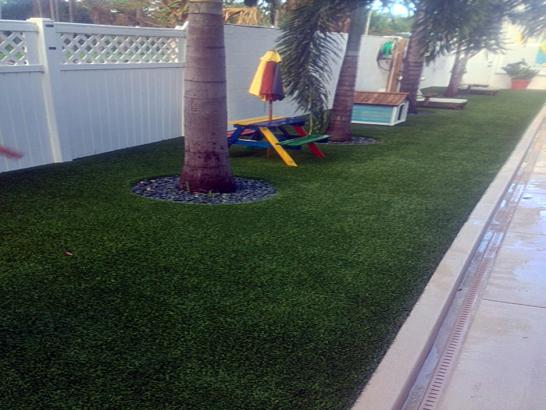 Artificial Grass Photos: Faux Grass Skyline View, Pennsylvania Landscape Design, Backyards