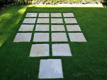 Artificial Grass Photos: Faux Grass Timber Hills, Pennsylvania Landscaping, Backyard Designs