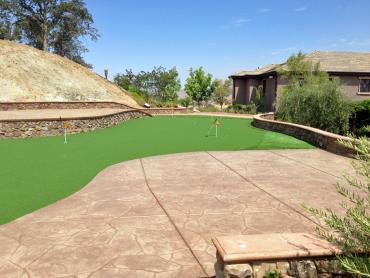 Artificial Grass Photos: Faux Grass Weatherly, Pennsylvania Putting Green, Backyard Ideas