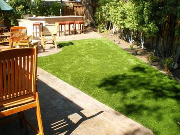 Artificial Grass Photos: Faux Grass Woodside, Pennsylvania Drainage, Backyard Landscape Ideas