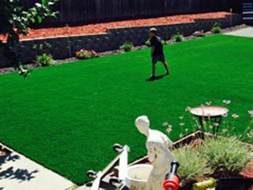 Artificial Grass Photos: Grass Carpet Clay, Pennsylvania Home And Garden, Backyard Landscape Ideas