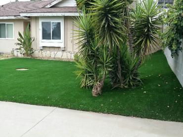 Artificial Grass Photos: Grass Carpet Coaldale, Pennsylvania Home And Garden, Front Yard Landscaping Ideas