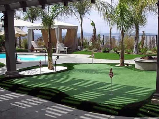 Artificial Grass Photos: Grass Carpet Edwardsville, Pennsylvania Landscape Ideas, Swimming Pools