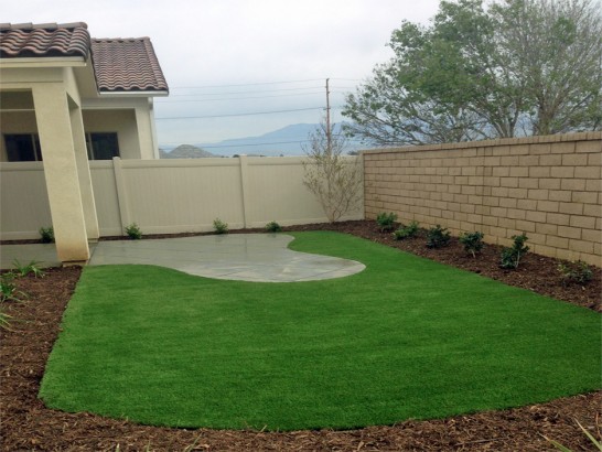 Artificial Grass Photos: Grass Carpet Feasterville, Pennsylvania Landscape Photos, Backyard Landscape Ideas