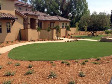 Artificial Grass Photos: Grass Carpet Halfway House, Pennsylvania Landscape Rock, Front Yard